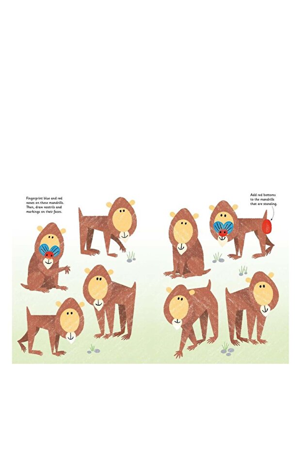 Fingerprint Activities Zoo - 2