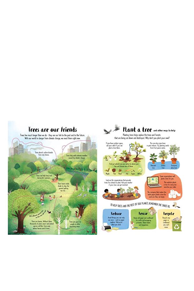 Lift The Flap Trees - 4