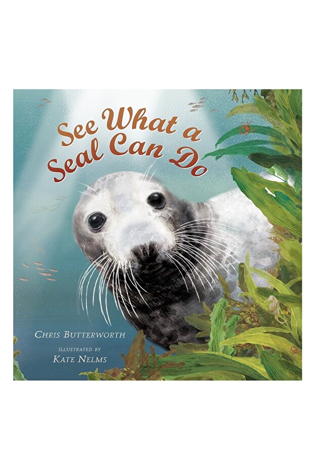 See What A Seal Can Do