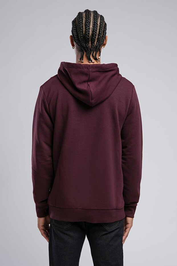 Faust Erkek Kapüşonlu Sweatshirt Mürdüm - 2