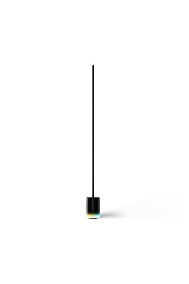 Govee RGBICWW Floor Lamp Support Matter