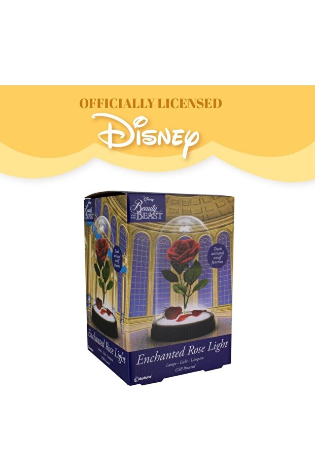 Enchanted Rose Light - 6