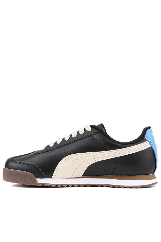 369571 Roma Basic G - 3