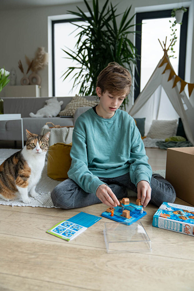 SmartGames Cats and Boxes - 4