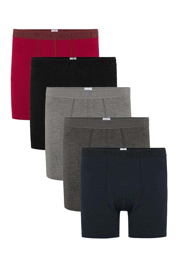 Erkek Renkli 5’li Uzun Paça Bambu Boxer - 25204 - 1