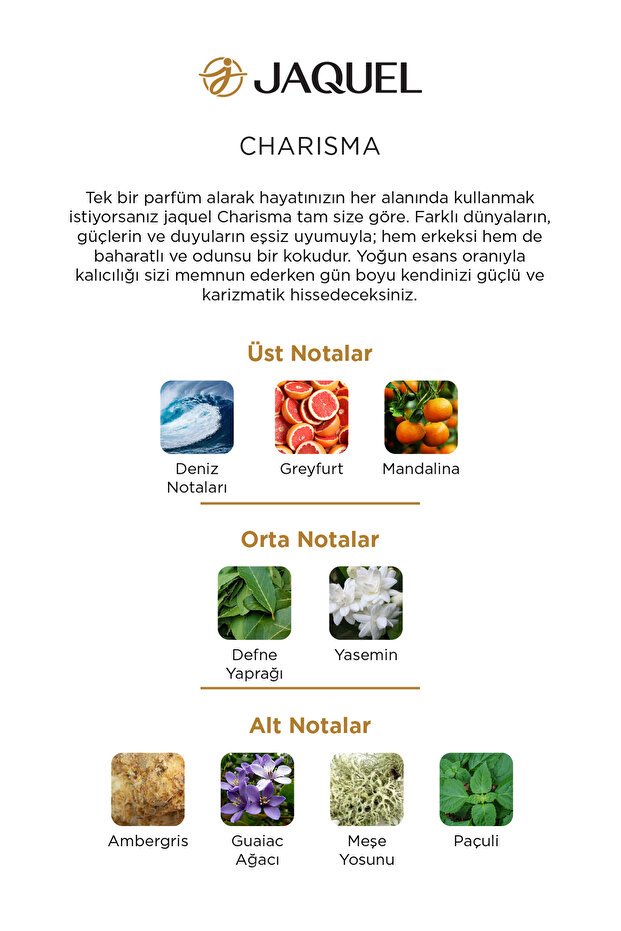 Charisma Erkek Parfümü 100ml - 4