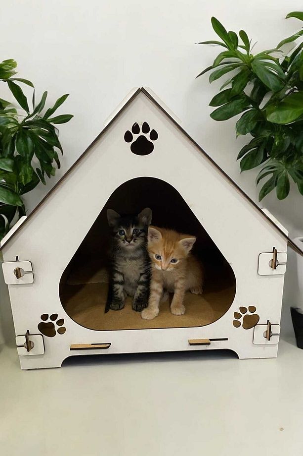 Ahşap Demonte Kedi Evi Evcil Hayvan Yuvası - 4