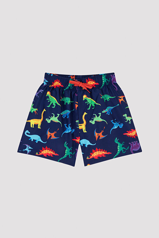 Boy's Dinosaur Patterned Colorful Swimsuit