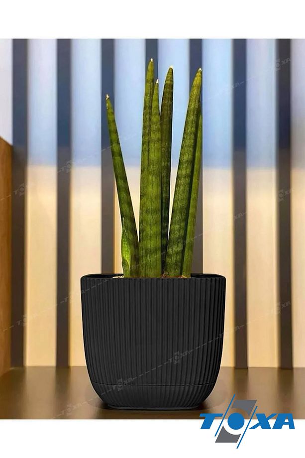 1.8 Litre Bej Mercan Kare Saksı Kaktüs Sukulent Saksısı Tabaklı Plastik Saksı - 8