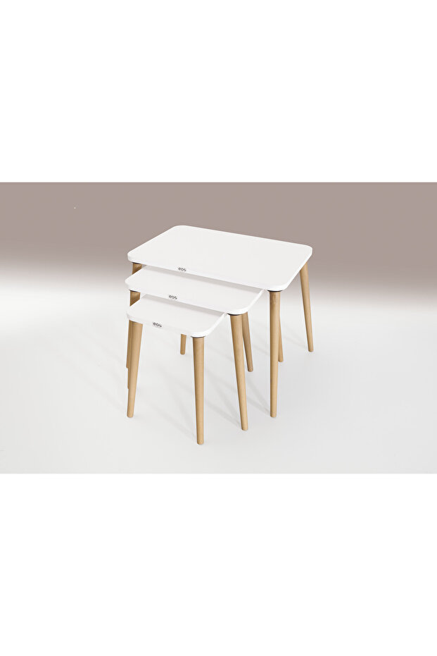 NATUREL 3 LÜ ZİGON SEHPA - 5