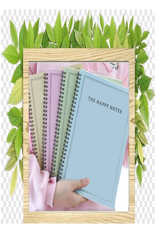 A5 Spiralli 4'lü Çizgisiz Okul Defter Seti 13,5 X 20,5 Cm 56 Yaprak Karton Kapak Notebook - 1