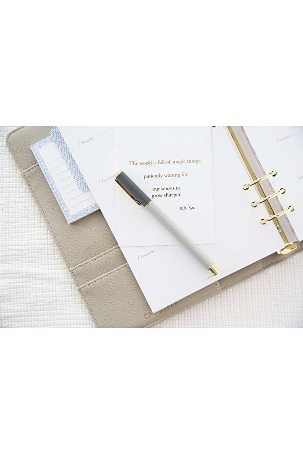 Premium Roller Pen, Gray - 2