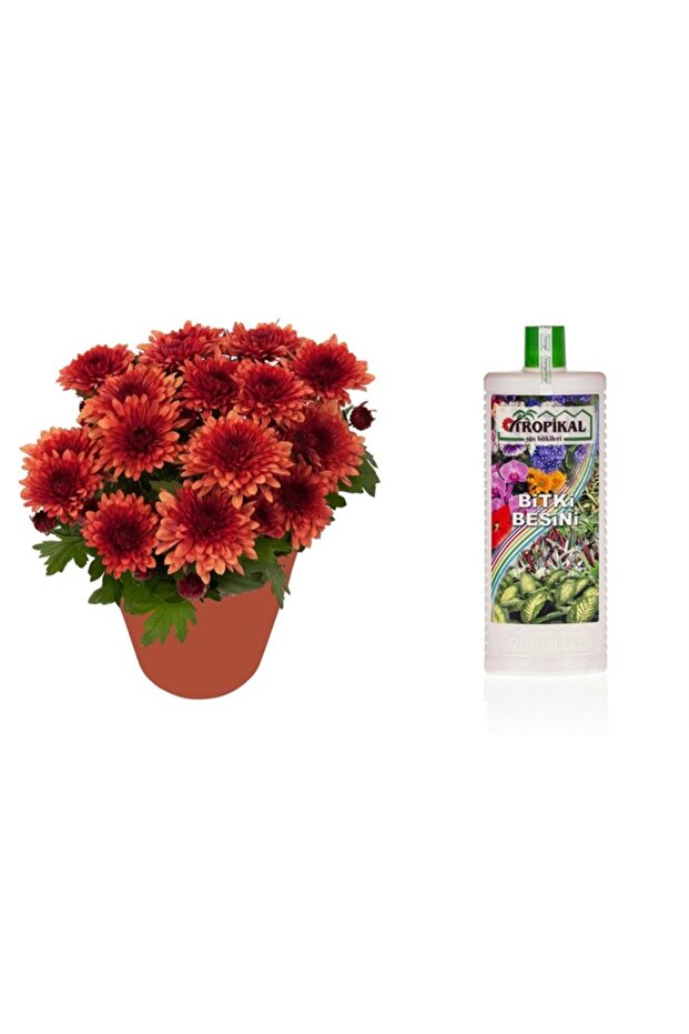 Tropikal Bitki Besini 3 Adet - Genel Kullanım 1000 ml - 2