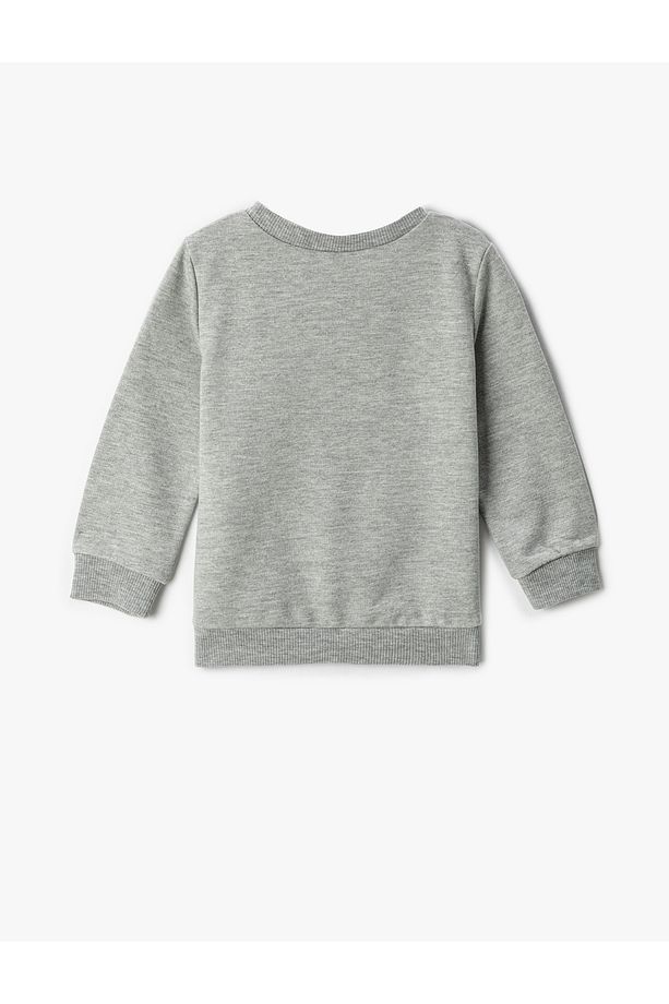 Erkek Bebek Kaplan Baskılı Sweatshirt 3smb10049tk - 2