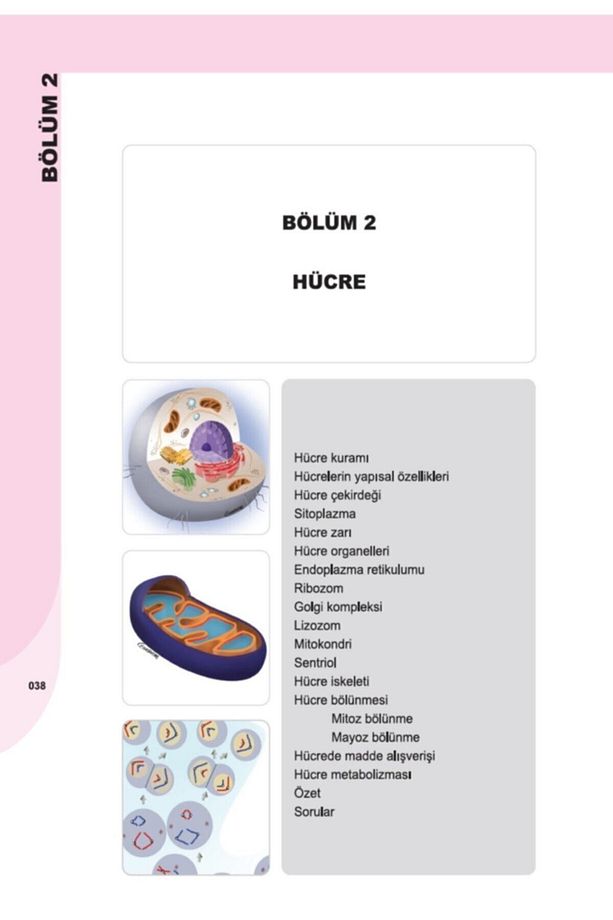 İnsan Anatomisi ve Fizyolojisine Giriş - 5