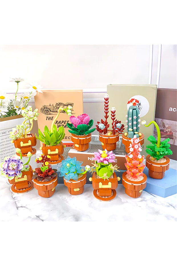 Bitki Çiçekleri Kaktüs 192 Parça - 6