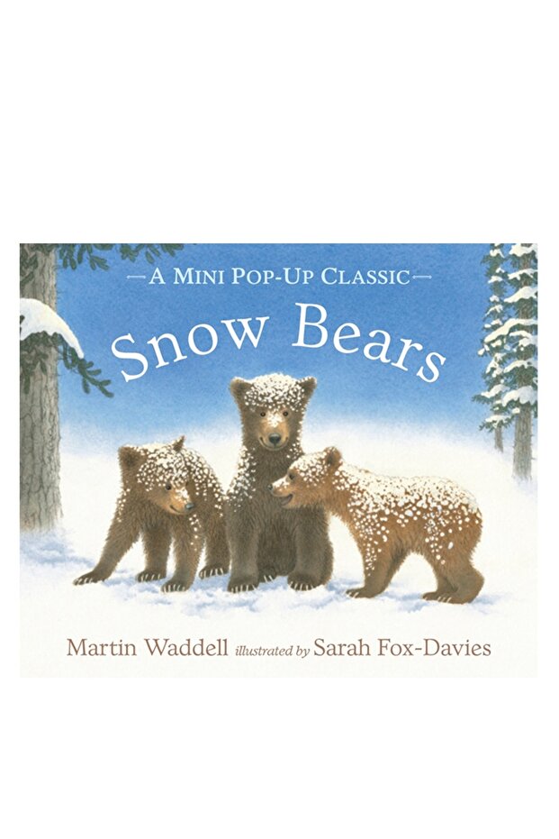 Snow Bears - 1