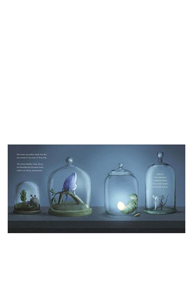 مشروع بارنابوس - 2