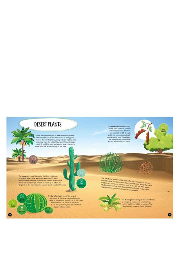 Ce- Cum- De ce - Pământ - 5