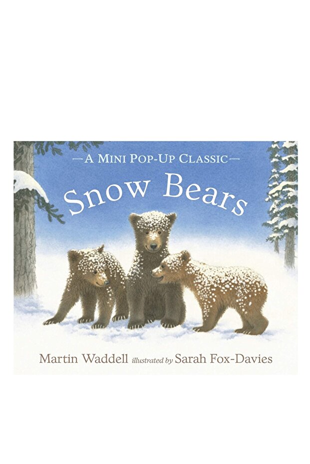 Snow Bears - 2