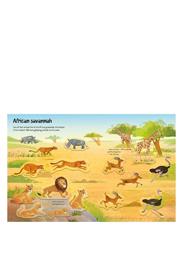 First Sticker Book Wild Animals - 3