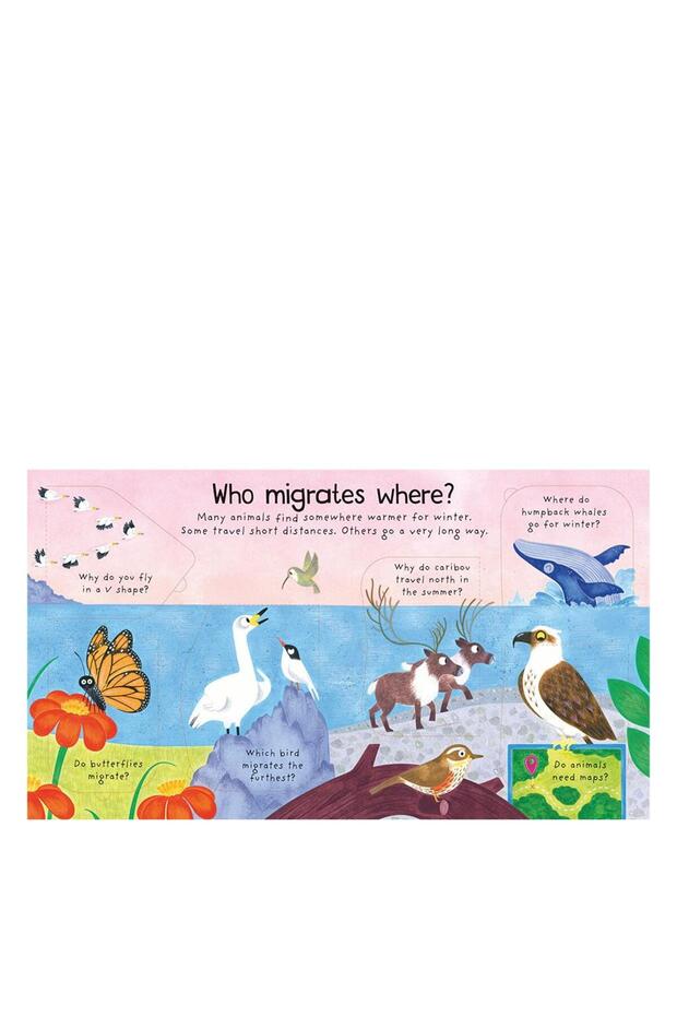 Where Do Animals Go İn Winter - 5