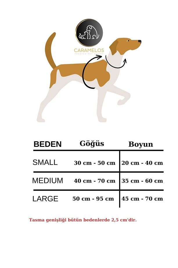İsimli-H Tipi Köpek Tasma Seti-(GÖĞÜS+BOYUN+GEZDİRME-İSME ÖZEL) Köpek Göğüs Tasması-Orta-Büyük Irk - 5