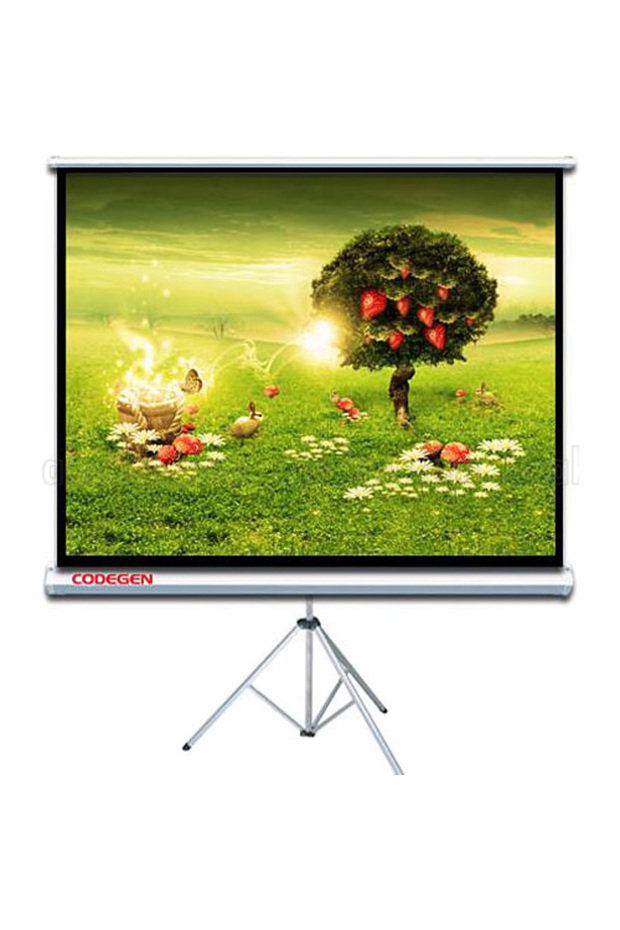 شاشة عرض بحامل ثلاثي القوائم مقاس 200 × 200 (TX-20)