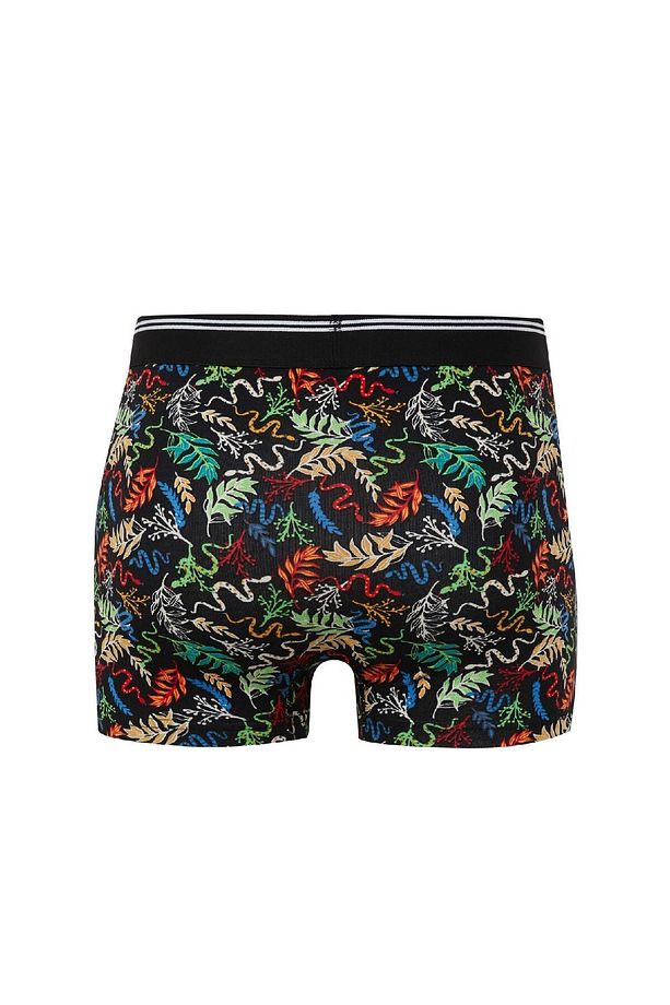 Regular Fit Hayvan Baskılı 3'lü Boxer E0035ax24wn - 3