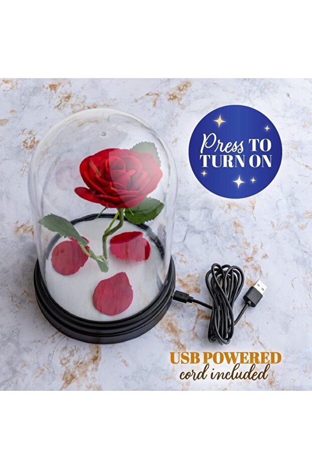 Enchanted Rose Light - 3