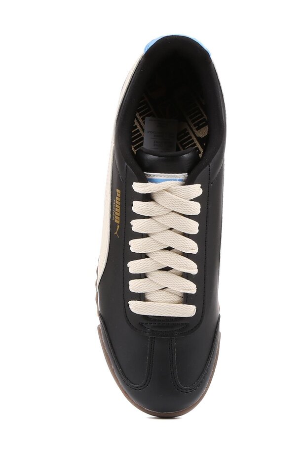 369571 Roma Basic G - 6