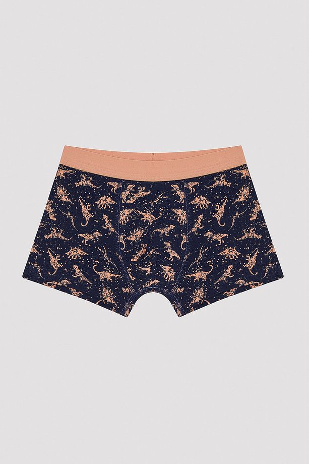 Erkek Çocuk Colorful Dino 2'li Boxer - 3