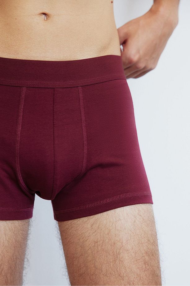 5'li Kısa Paça Boxer Şort Lycra® - 2