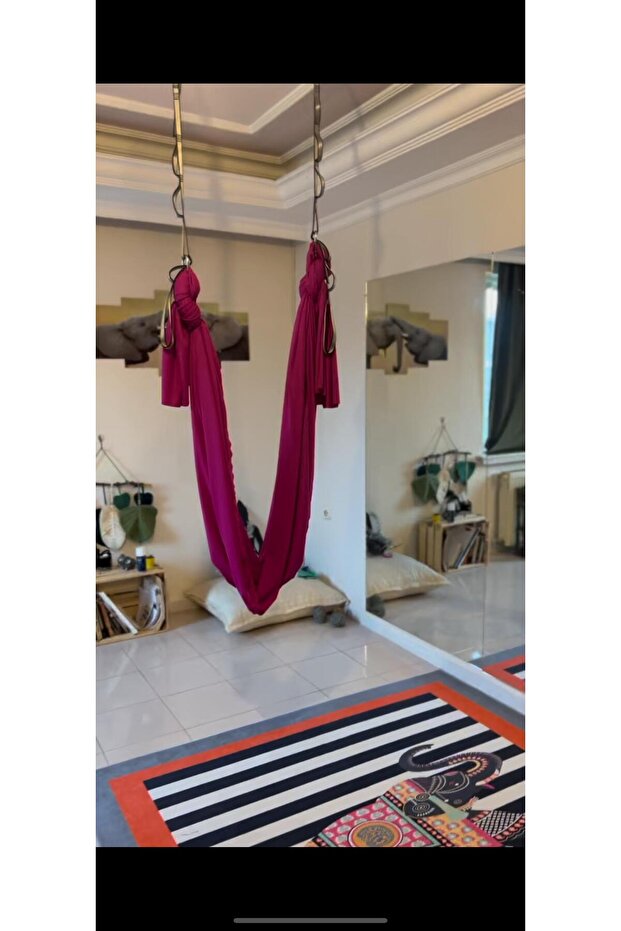 Fly Yoga Hammock and Apparatus Set