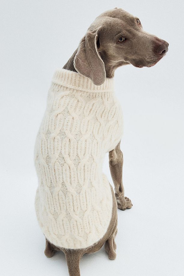 Saç Örgüsü Köpek Kazağı - 4