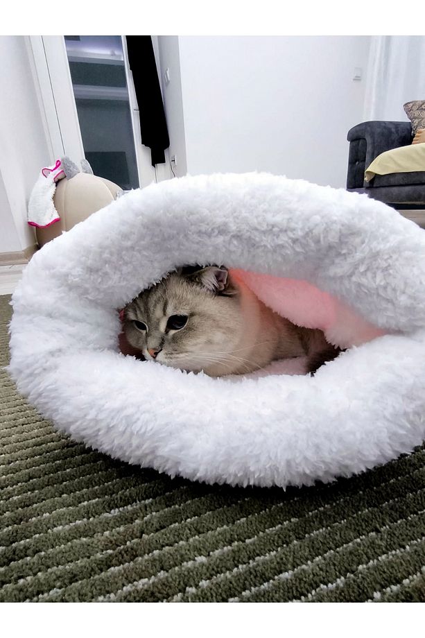 Kedi köpek uyku tulumu yatak Pembe Beyaz velsoft şık tasarım box - 4