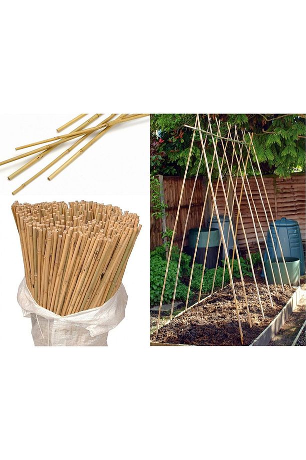 Bambu Bitki Destek Çubuğu 180 Cm 20 Adet - 3