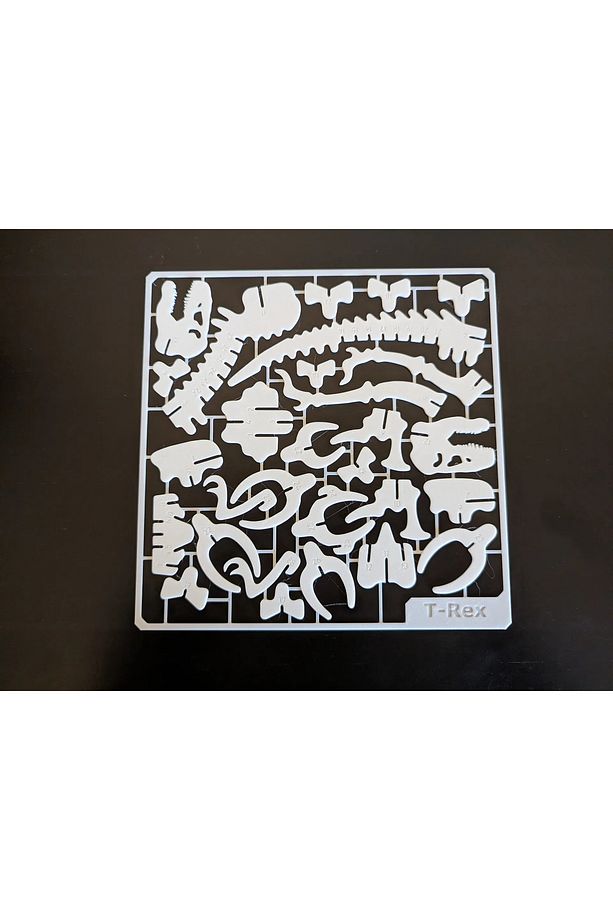 Dinazor iskeleti kit card maket oyuncak ve standı - 3