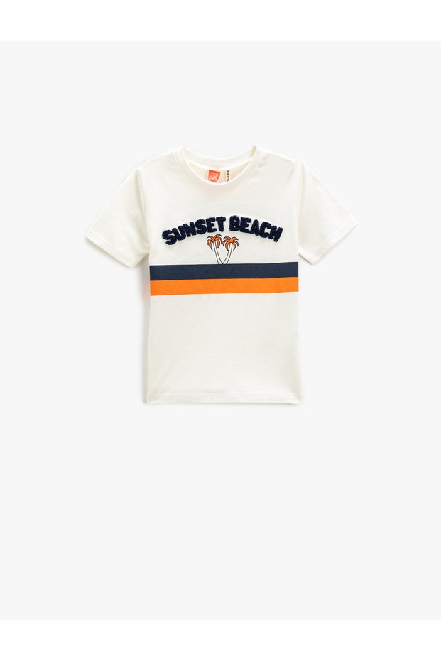 Printed Short Sleeve T-Shirt Applique Detailed Crew Neck