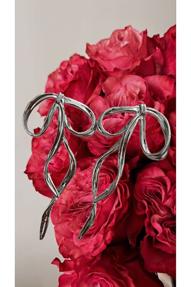 Ribbon Steel Earrings