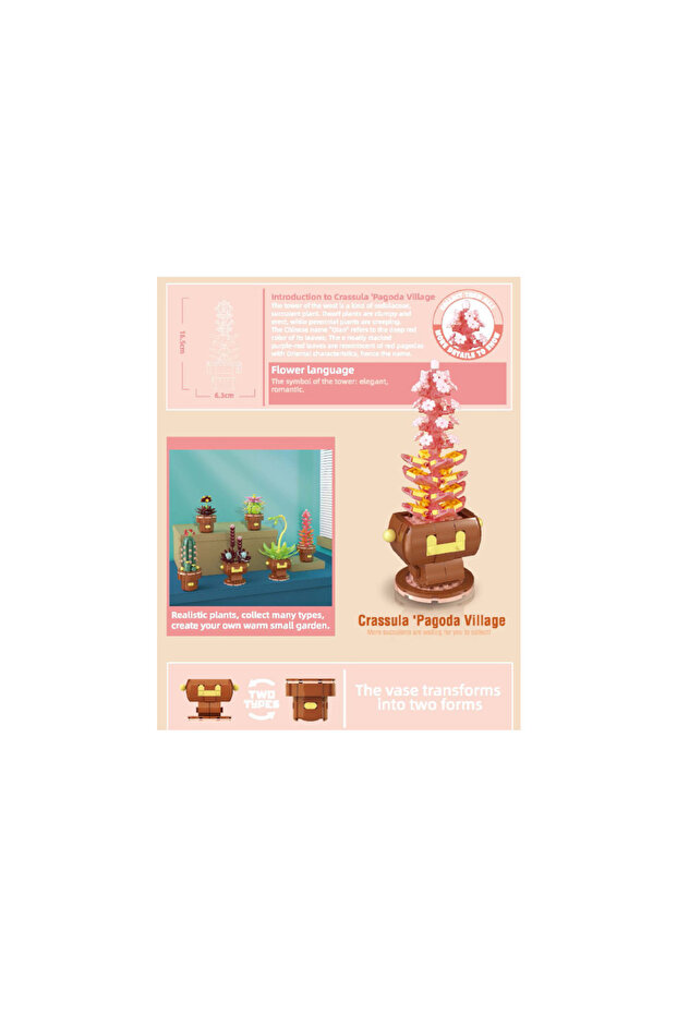 Blok Çiçek Sukulent 211 Parça - 3