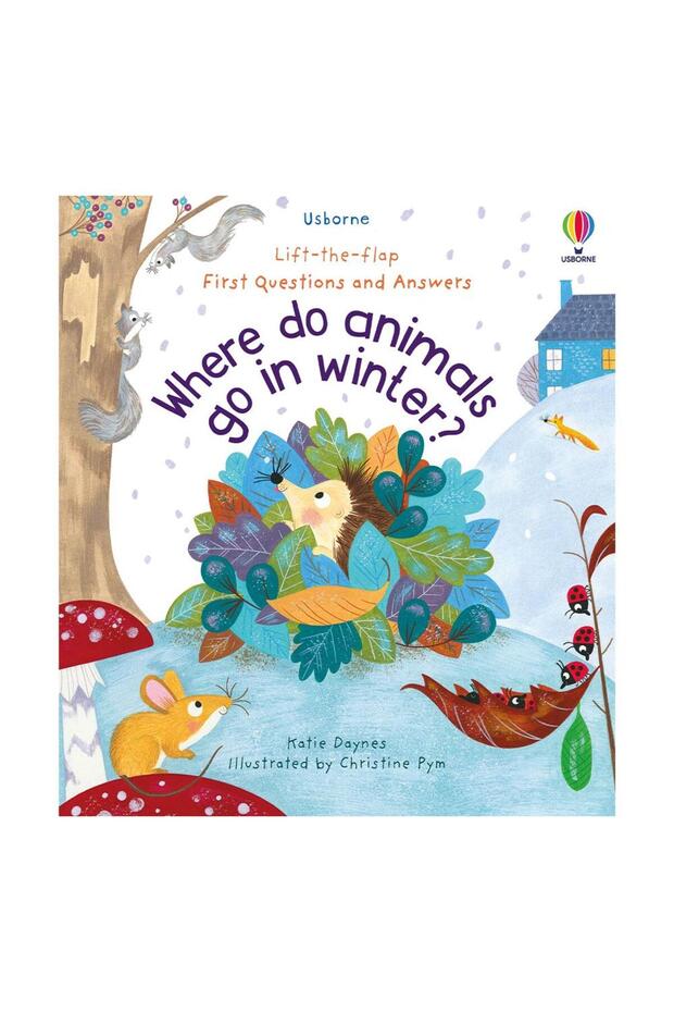 Where Do Animals Go İn Winter - 2