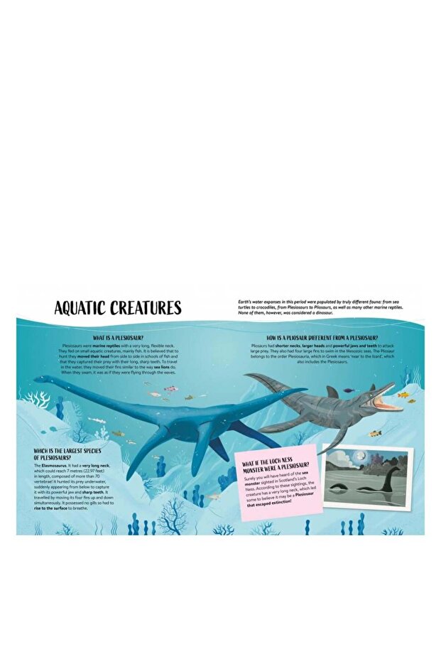 Ce- Cum- De ce - Pământ - 4