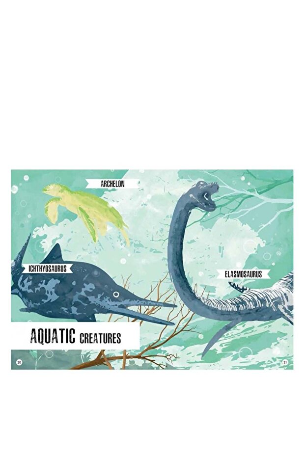 3D Stegosaurus - Kitap ve 3D Model - 4