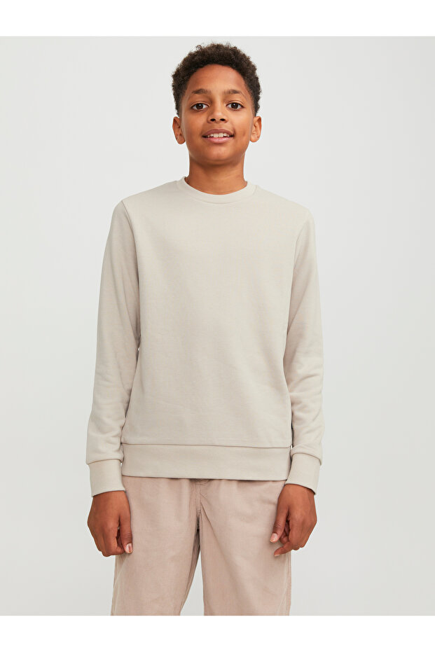 Jjebradley Sweat Crew Noos Jnr 12250530 Moonbeam