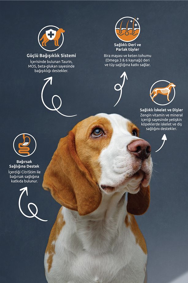 Kuzu Etli Büyük Irk Köpek Maması-3 Kg - 2