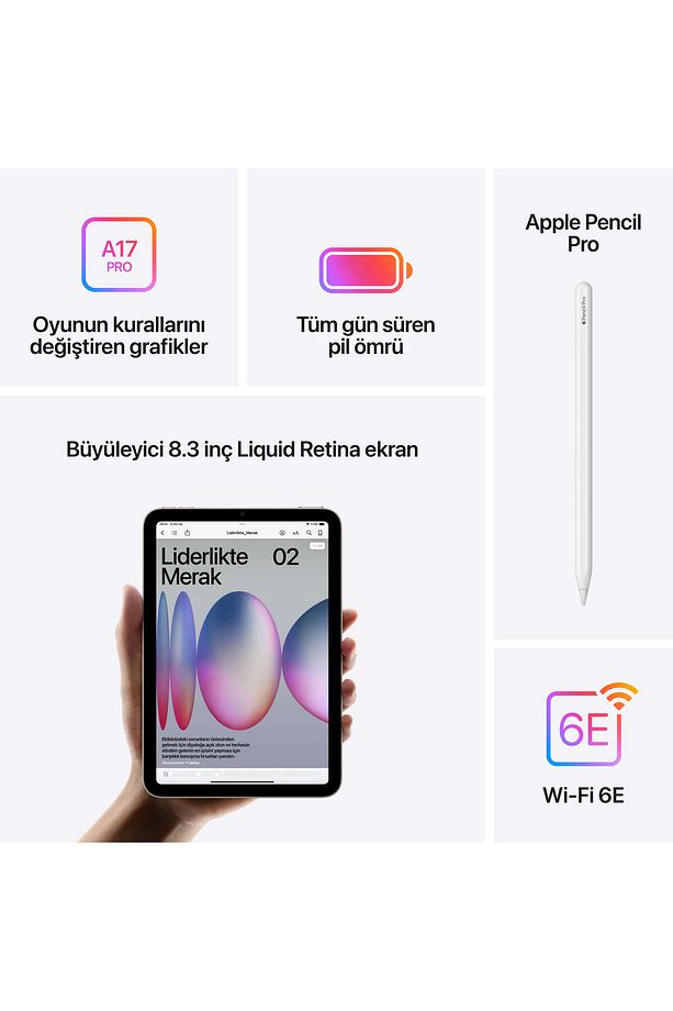 iPad mini Wi-Fi 128GB - Mor - 6