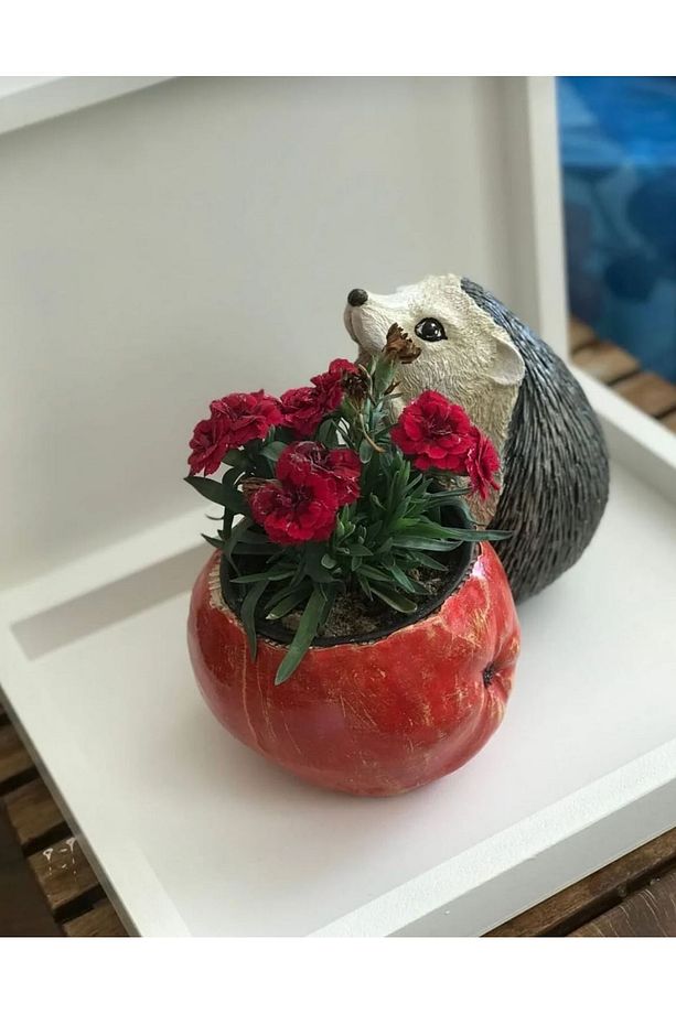 Sevimli Kirpi Dekoratif Saksı - 2