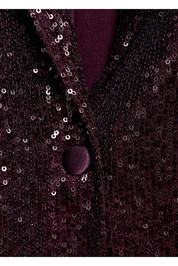 Payetli blazer ceket - 7