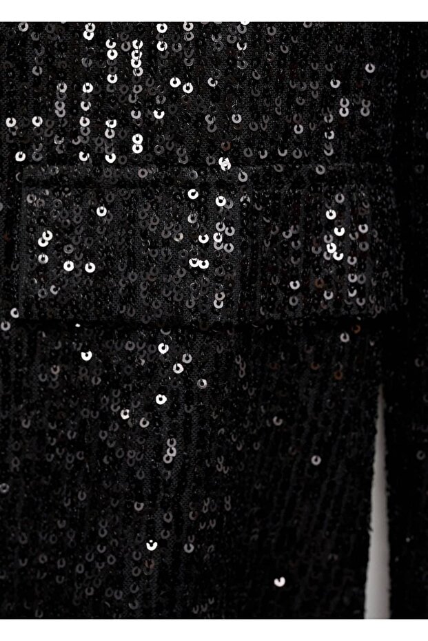 Payetli blazer ceket - 7